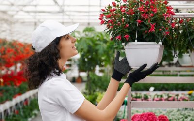 Qu’est-ce que l’horticulture ?